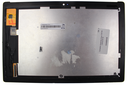Complete Assembly Asus Z301M - CAASZ301M                    